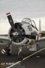 MG_0343m_800_copy.jpg