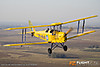 MG_1133m_copy.jpg