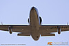 MG_2127m_copy.jpg