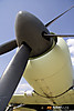 MG_3836m2_copy.jpg