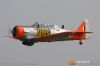 MG_6508m_800_copy.jpg