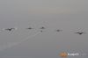 MG_7263m_800_copy.jpg