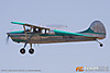 MG_7343m_copy.jpg
