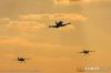 MG_9218m_800_copy1.jpg