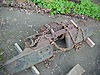 MVC-153S1.JPG