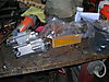Mule_photos.jpg
