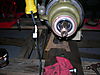 Mule_photos_0011.jpg