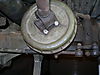 Mule_photos_015.jpg