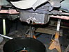 Mule_photos_018.jpg