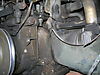 Mule_photos_020.jpg
