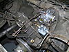 Mule_photos_035.jpg