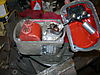 Mule_photos_036.jpg
