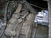 Mule_photos_051.jpg