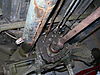 Mule_photos_053.jpg
