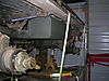 Mule_photos_063.jpg