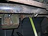 Mule_photos_065.jpg