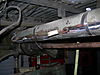 Mule_photos_072.jpg