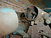 P101000213.JPG