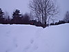 P1040040.JPG