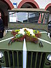 P7181848.JPG
