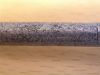 PA100040.JPG