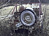 Picture_1741.jpg