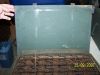 Rear_seat_014-1200.jpg