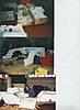 Resize_of_slat_lc_6.jpg
