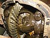 SNV11298.jpg
