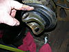Son_of_Junkyard_Dog_014.jpg