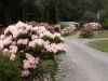 Spring_2008_003.jpg