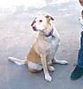 Thanksgiving_2005_006-1.jpg