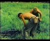 The_Color_of_War_5_MPEG_0-16-01-16_.jpg