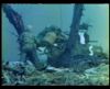 The_Color_of_War_5_MPEG_0-35-29-09_.jpg