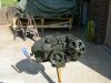 Tony_s_Mule_019.jpg