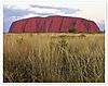 Uluru_Sunrise_Tour.jpg