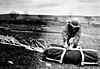 airborne6.gif