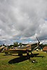 beltring_2007_014.jpg