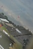 beltring_2007_125.jpg