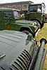 beltring_2007_129.jpg