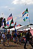 beltring_2007_156.jpg