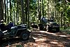 camp_G_7.jpg
