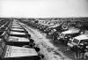 campo_arar_6.jpg