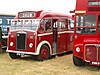 carshow_066.JPG