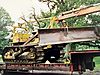 cat1s.jpg