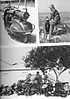 f_vespa-02.jpg