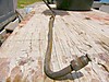 gas_line_from_tank_004.jpg