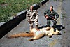 gijoe.jpg