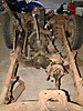 gpw-160.jpg