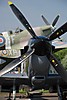 hendon_003.jpg